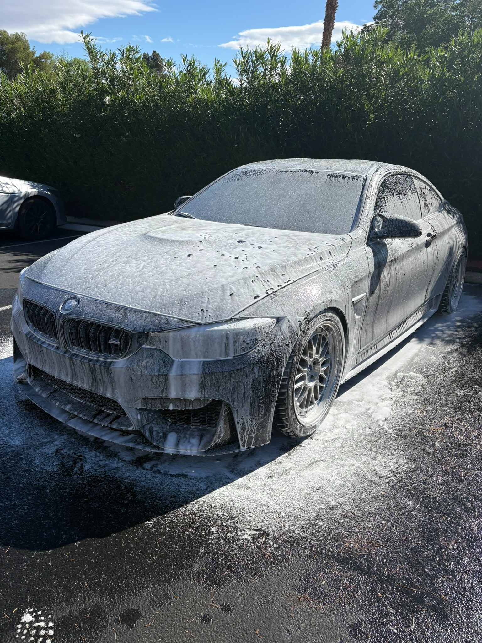 BMW M Foam Wash to Final Detail Foam Wash